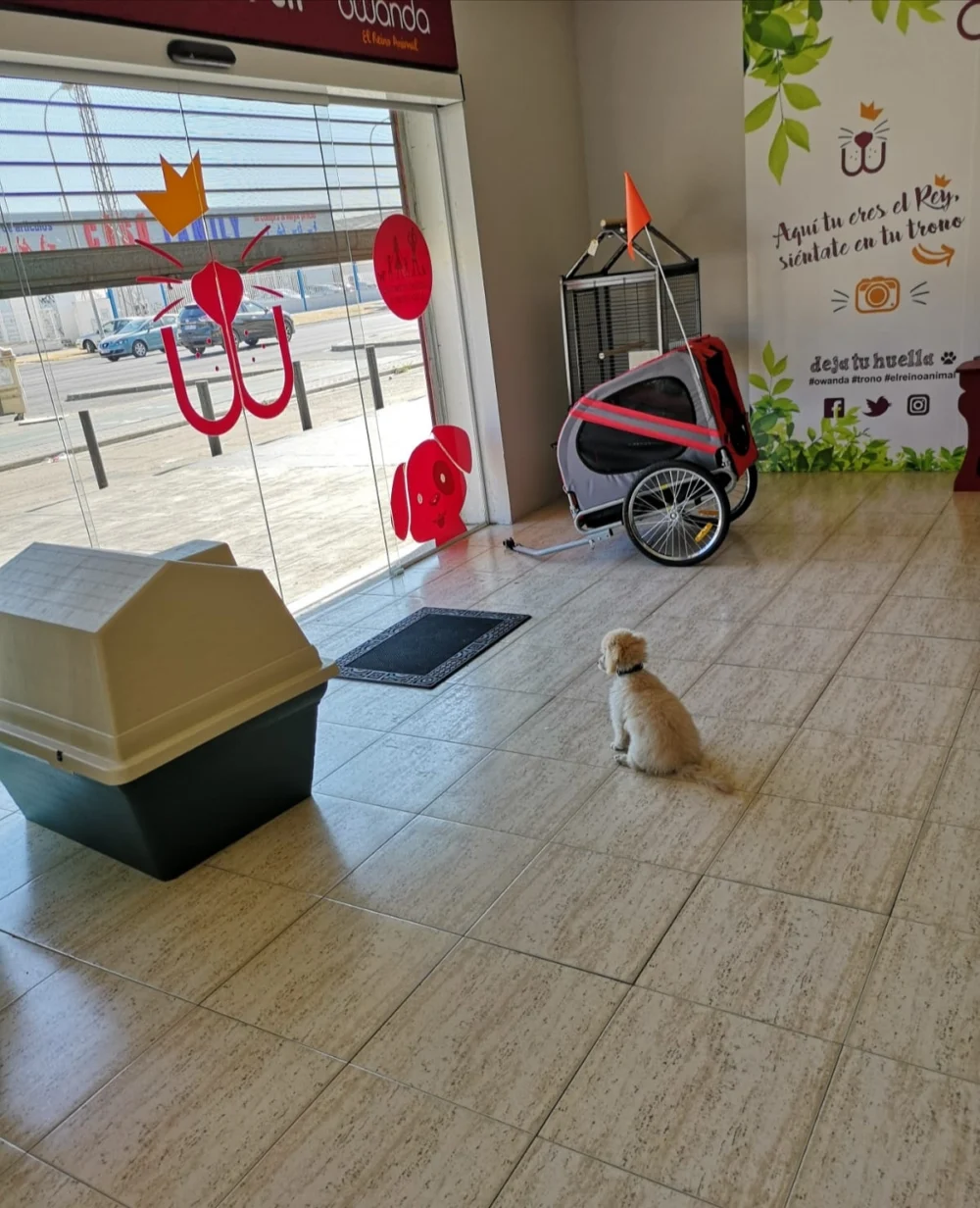 Owanda El Barrio de las Mascotas - 4