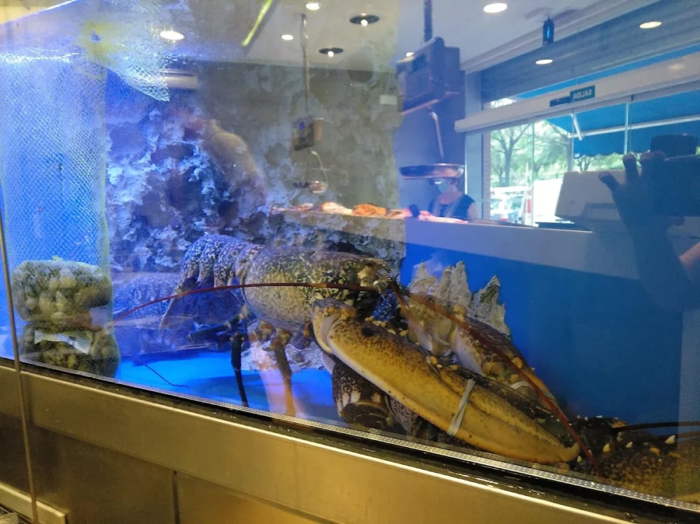 Pescadería Beli - 3