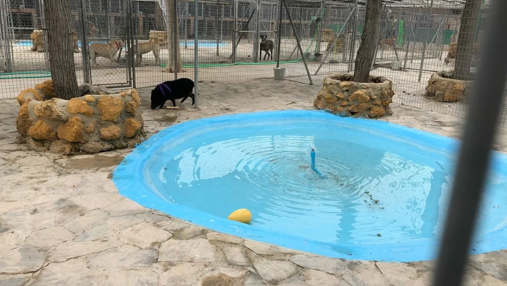 Residencia de Animales Oasis - 2