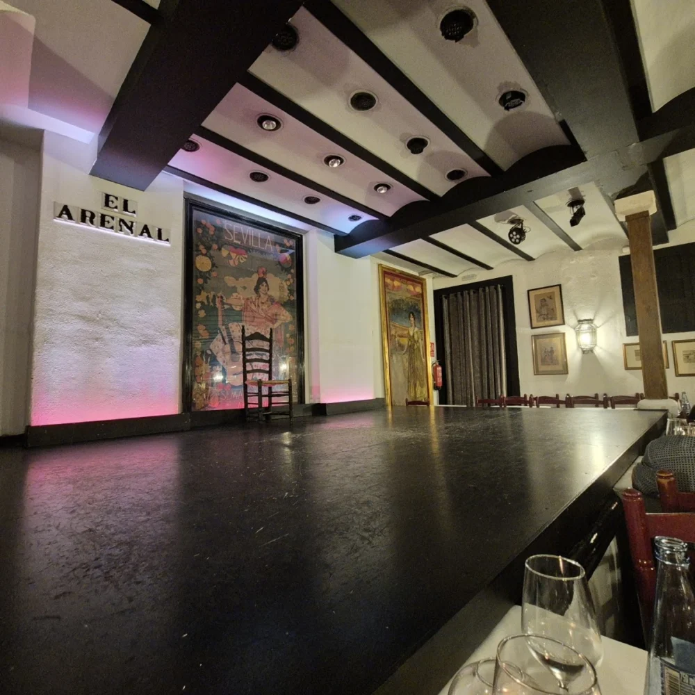 Tablao Flamenco El Arenal - 2